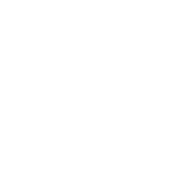 World Web Icon